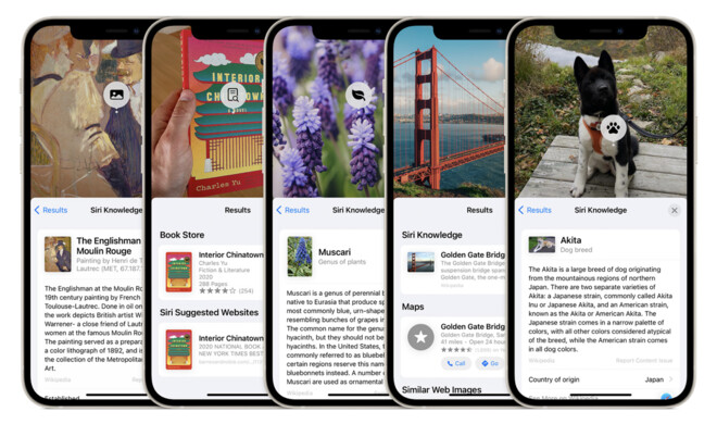 Visuelles Nachschlagen in iOS 15
