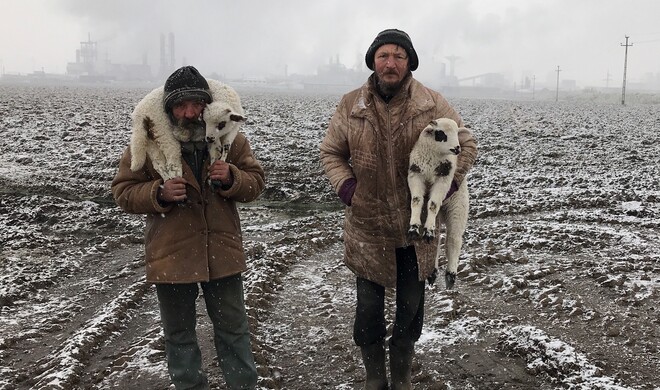 Grand Prize Winner ist der Fotojournalist Istvan Kerekes aus Rumänien mit seiem Bild „Transylvanian Shepherds“.