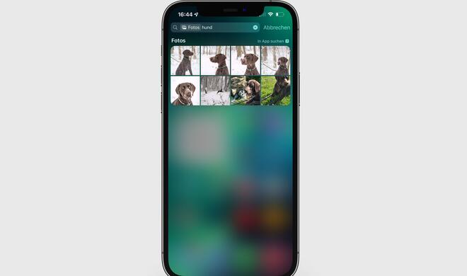 Foto-Suche in Spotlight