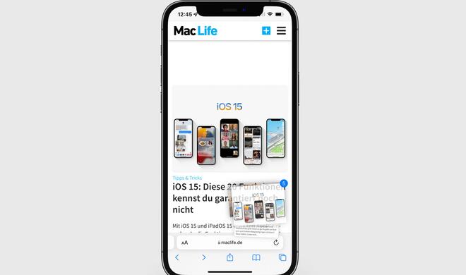 Einfaches Speichern mehrerer Bilder aus dem Internet