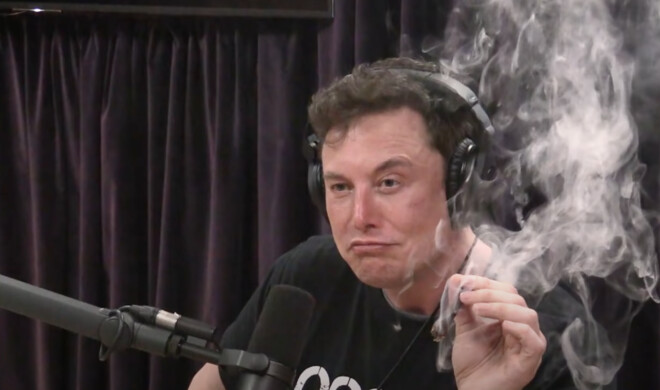 Elon Musk ist immer für verrückte Dinge zu haben