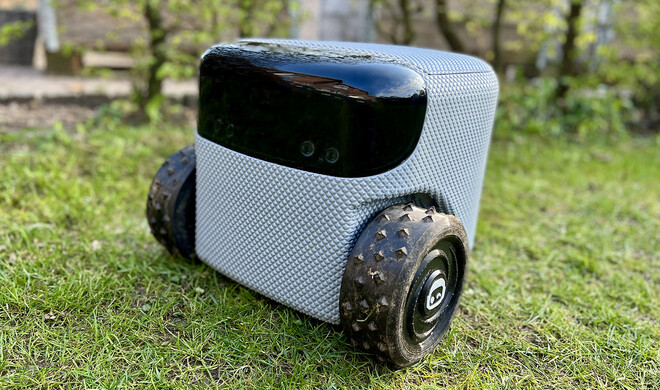 Der neue Star in deinem Garten? Eeve Willow bei der Arbeit