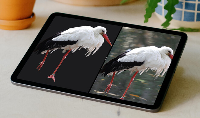 Freigestelltes Fotos in iPadOS 16