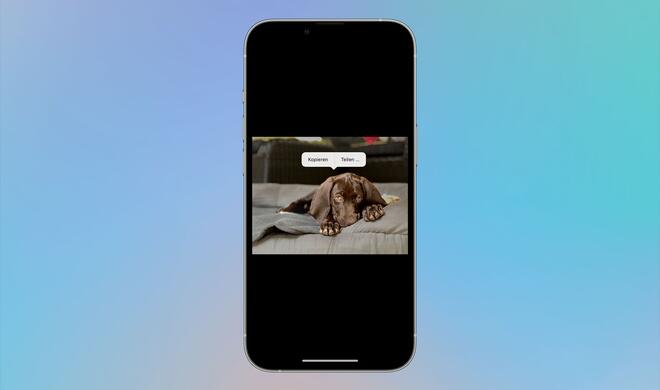 Motive aus Fotos ausschneiden