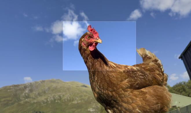 ... dieser 48-MP-ProRAW-Aufnahme.