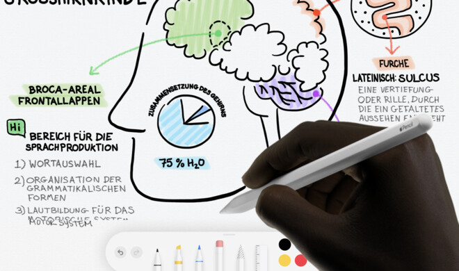 Apple plante einen kleineren Apple Pencil für das iPhone 14