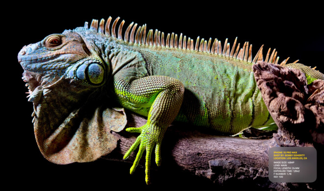 Das iPhone 15 Pro sammelt deutlich mehr Details ein.