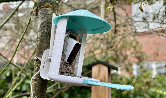 Der Vogelfutterspender Netvue Birdfy ist gleichzeitig eine Überwachungsstation.