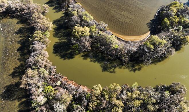 In Nordkalifornien arbeitet Apple mit River Partners zusammen, um die natürliche Funktion des Überschwemmungsgebiets auf einer Fläche von 750 Hektar wiederherzustellen.