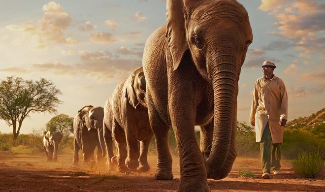 Die nächste Folge von Wild Life wird im Herbst ausgestrahlt.