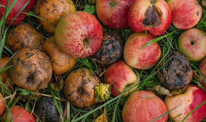 So sieht John Gruber Apple aktuell.