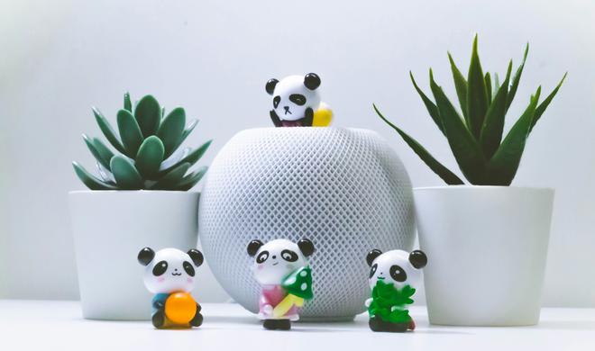 Apple soll wichtige Features beim „HomePad“ streichen, um den Hub schneller auf den Markt bringen zu können.