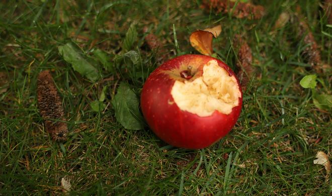 Apple verklagt Jon Prosser wegen der Leaks zu iOS 26.