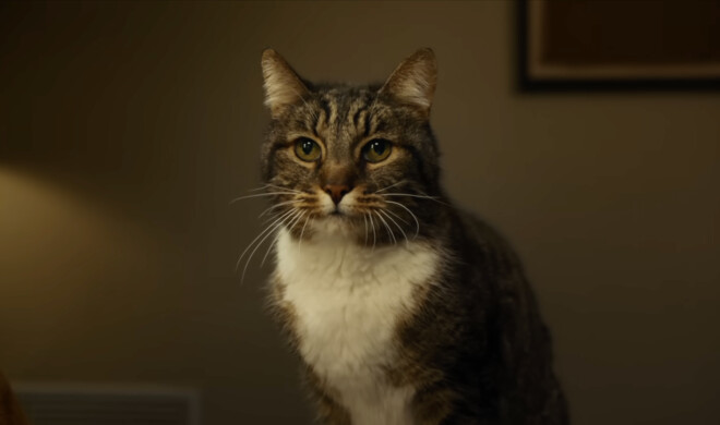 Garrett ist nicht erfreut, dass er „gelöscht“ wurde.