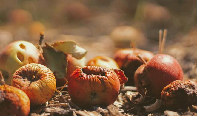 Großer Manager-Austausch bei Apple.