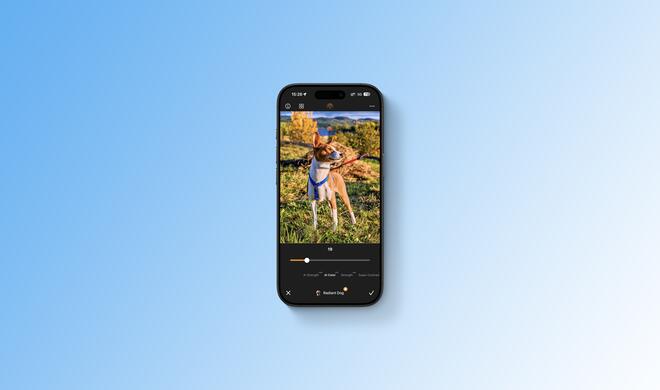 App des Monats: Radiant Pet Camera