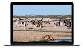 So leicht wechseln Sie das Hintergrundbild beim Login-Bildschirm am Mac